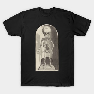 Anatomical Study of a Skeleton, 1685 - original engraving cleaned and restored T-Shirt